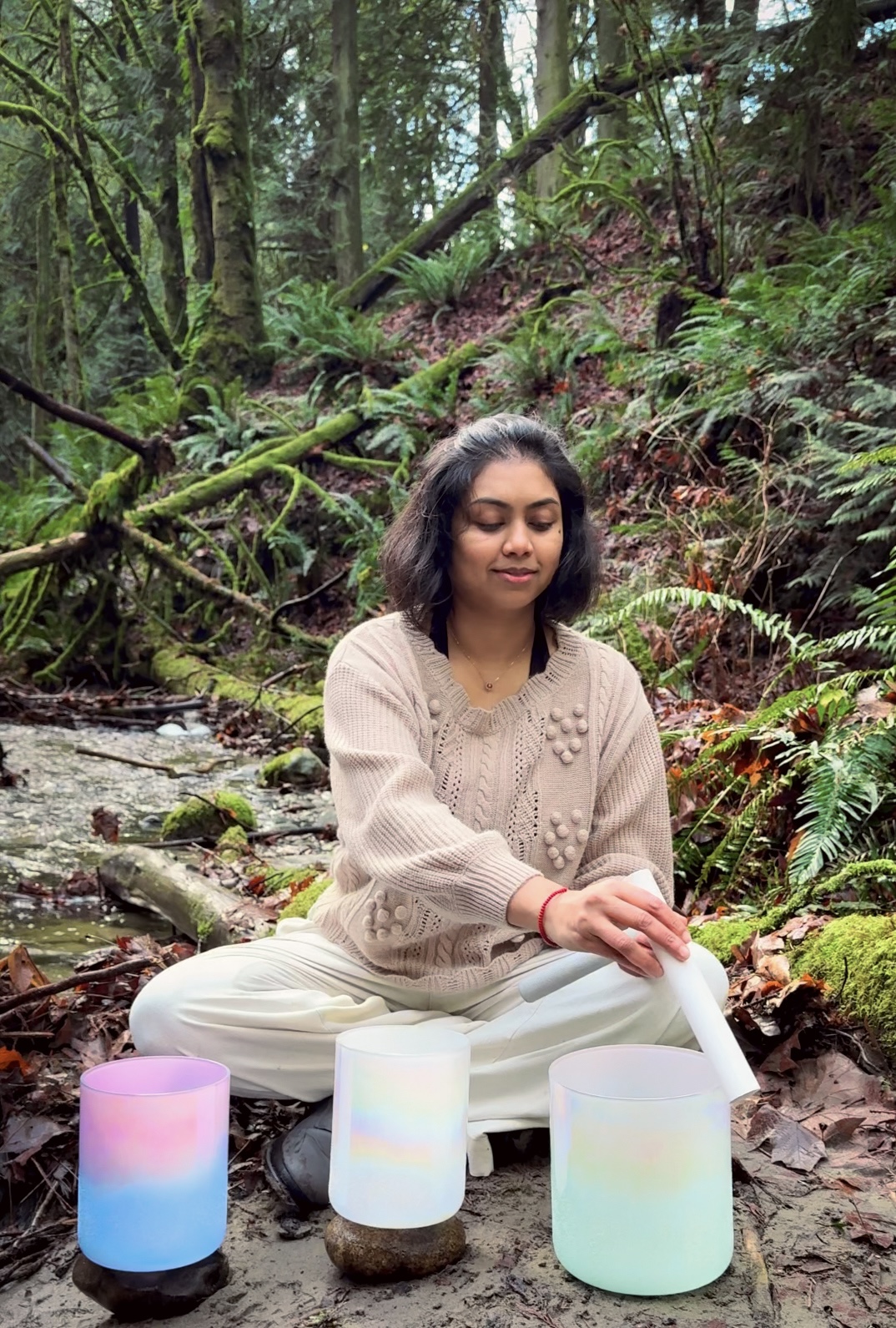 Sukrutha Krishnegowda